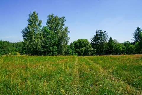 Działka budowlana teren rolny 1,1ha