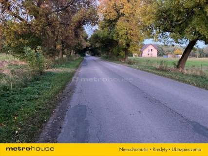 Działka rolno-budowlana 7964m2 - Kośminy