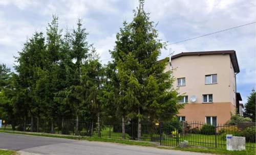 Dom wolnostojący czterokondygnacyjny z potencjałem inwestycyjno...