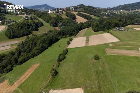 Prywatny las 3331 m2 - Twoja przestrzeń w naturze