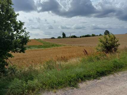 Działki budowlane w Żukowie