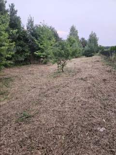 Działka rolno-budowlana 1,52 ha Dąbrowa gm. Ludwin