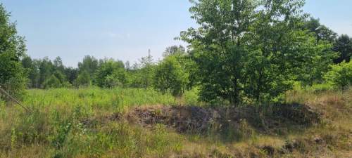 Działka budowlana na sprzedaż, 1000 m2, Żółwin