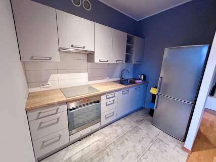 Mieszkanie do wynajęcia, 45 m2, Poznań
