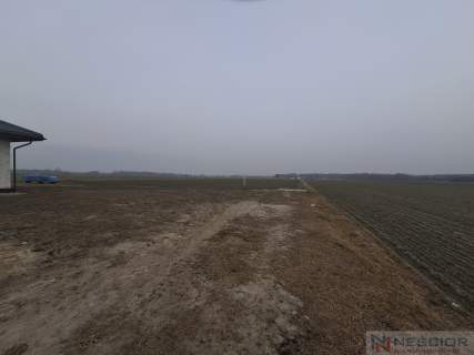 Działka budowlana 1000 m w Boroszkowie
