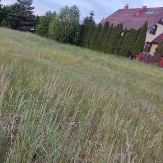 Dzialka budowlana przy lesie
