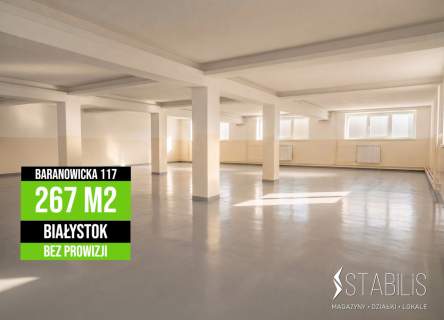 Magazyn / Skorupy / 245 m2