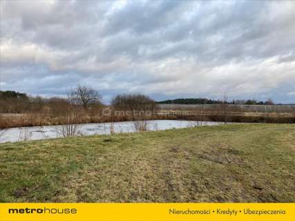 Atrakcyjna działka ze stawami - 3,62 ha gm. Pniewy