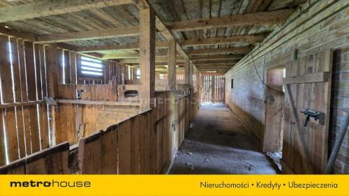 5,40ha Idealne na stadninę agroturystykę Fermę