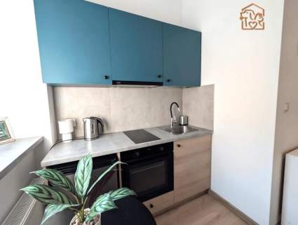 Wróblewskiego 54 - studio, pet friendly