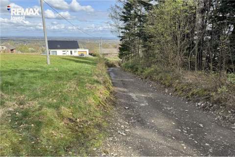 Działka leśna w górach, idealna na wypoczynek.
