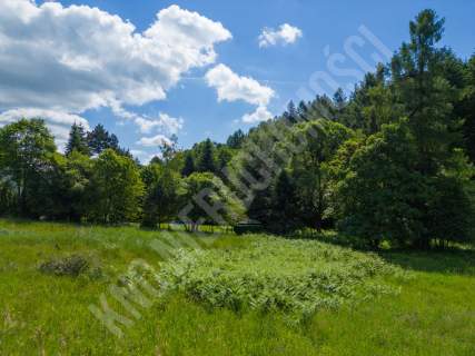 Targoszów działka 2350 m2 spokój las góry