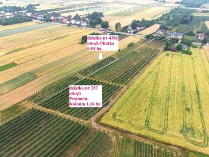 Dom 280 m2 z dochodowym sadem i chłodniami