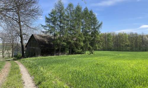 Siedlisko na polanie, pod stadninę lub agroturystykę, 30 min