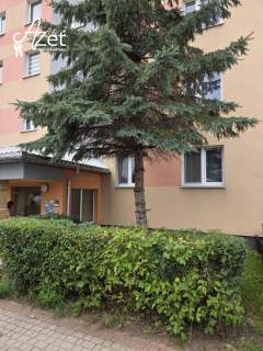Komfortowe 4 pokoje z dużym ogrodem Centrum
