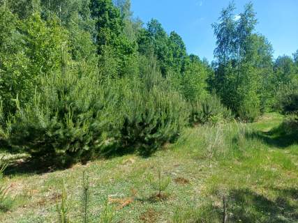 Działka 7656 m2