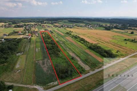 Na sprzedaż działka o powierzchni 1,44 ha - Zaczarnie, gm. Lisia...