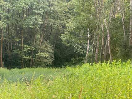 Działka budowlana na sprzedaż, 5000 m2, Skawina