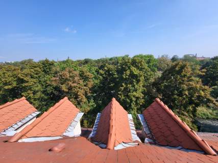 WYNAJEM Mieszkanie dwupoziomowe Centrum Gliwic Widok n