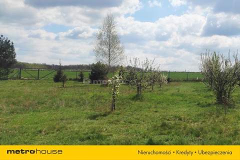 Idealne miejsce na budowę wymarzonego domu
