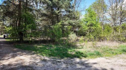 Działka przy Kampinosie Cisza i natura