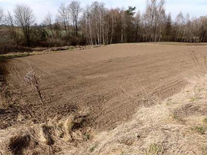Pole 30ar 30 minut od KRK, Kościejów/Racławice