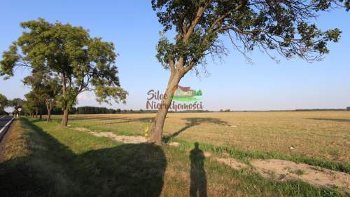 Inwestycja Działka rolno - siedliskowa 5,75ha
