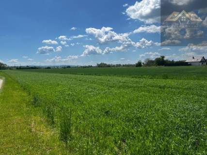 Duża działka blisko Tarnowa, gm. Wierzchosławice