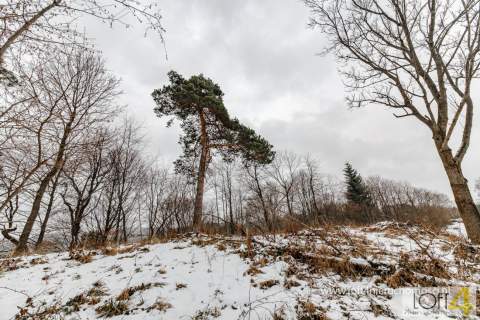 Widokowa działka inwestycyjna w Bieszczadach.
