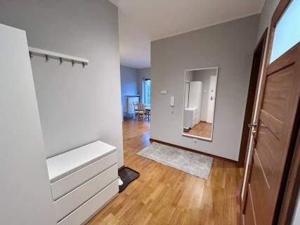 Mieszkanie do wynajęcia, 45 m2, Poznań