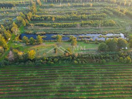 Grunty na Zalewem Wiślanym 21,8200ha