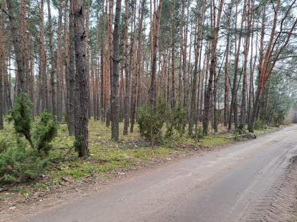 Działka leśna z możliwością zabudowy w MPZP