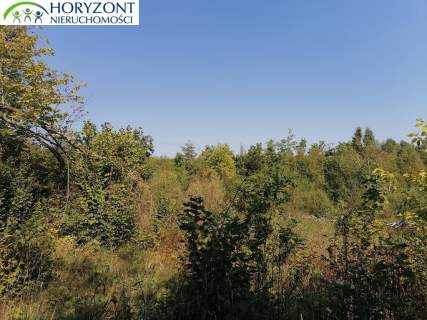 Sulęczyno działka w centrum miejscowości