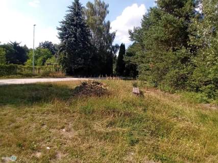 Działka 500mb do zalewu Cedzyna 