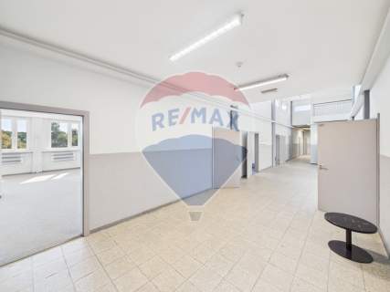 Biuro 41,6 m z windą i parkingiem Rybnik