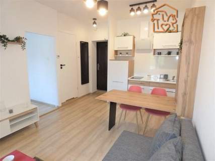 2 pokoje, pet-friendly - Żeromskiego 16
