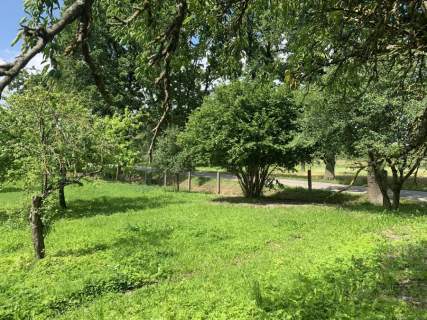 Dom z dużą działką w spokojnej okolicy Studnica,