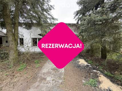 Siedlisko w Stajęczynach na dużej działce