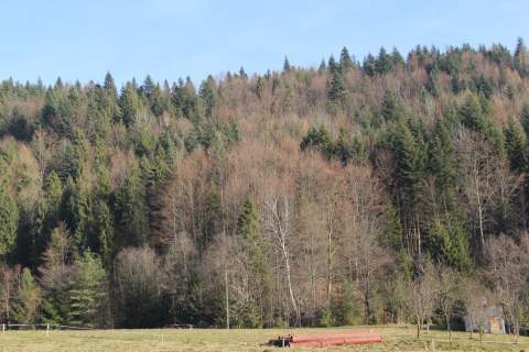 Działka budowlano - rolna w miejscowości Grywałd