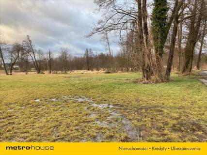 Działka 3300m2 Przęsławice gm.Pniewy