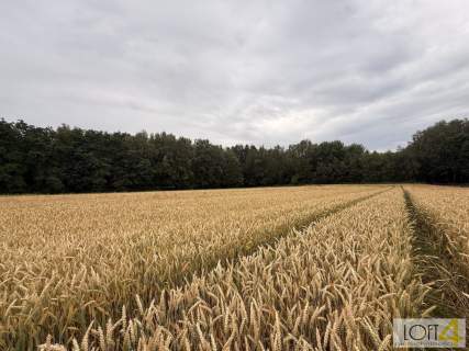 Duża działka z WZ - wiele możliwości