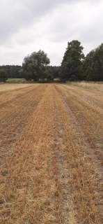 Działka 1,67 ha rolno-inwestycyjna w Lututowie