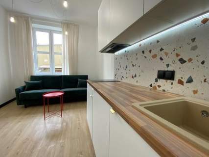 Studio obok Parku Wilsona - Strusia 11