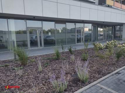 Sprzedam lokal 175 m2 Rzeszów Dworzysko