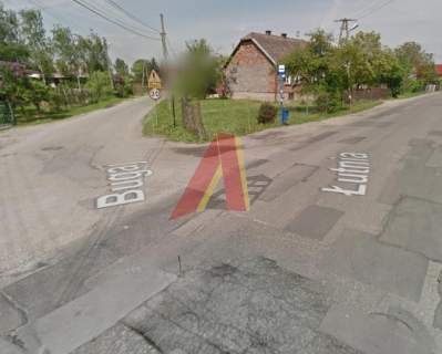 12ar Rybitwy