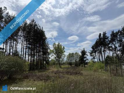 Siedlisko nad rzeką 50 km od Warszawy