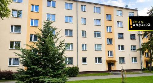 Mieszkanie do wynajęcia, 47 m2, Kielce