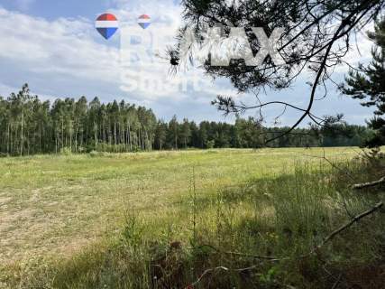 Atrakcyjna działka budowlana w otoczeniu lasu.