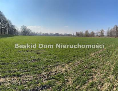 Działka na sprzedaż, 8000 m2, Czechowice-Dziedzice