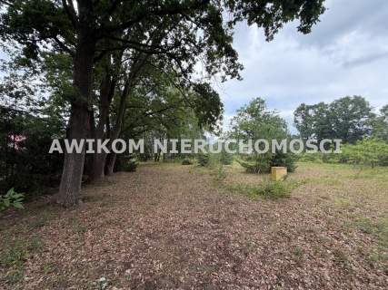 Działka budowlana na sprzedaż, 2925 m2, Grodzisk Mazowiecki